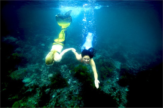 ocean mermaid photo shoot